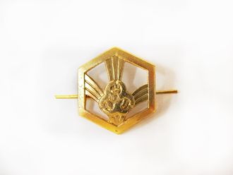 Эмблема петличная Войска РХБЗ, нового образца, металл, золото