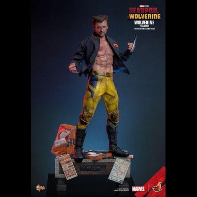 Росомаха, Логан ("Дэдпул и Росомаха") - Коллекционная фигурка 1/6 Wolverine (TVA Jacket) (MMS756) - Hot Toys