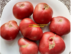 Томат Розелла Пурпурная,  (Dwarf Rosella Purple)