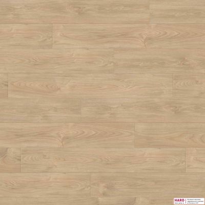 Декор ламината Haro Tritty 100 Клен Серебрянный Варио 544717 фронт