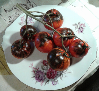 Семена томата Мечта Алисы