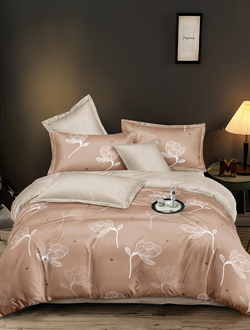 Постельное белье евро TANGO Dream Fly микросатин 200x220x1 220x245x1 50x70x2 DF03-516