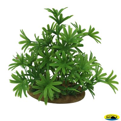 1160107-АRТ Бамбуза зеленая15см иск. раст.