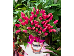 Букет из тюльпанов # 5 010