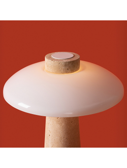 Freya, Настольный светильник Sunspot, FR5482TL-L7BG