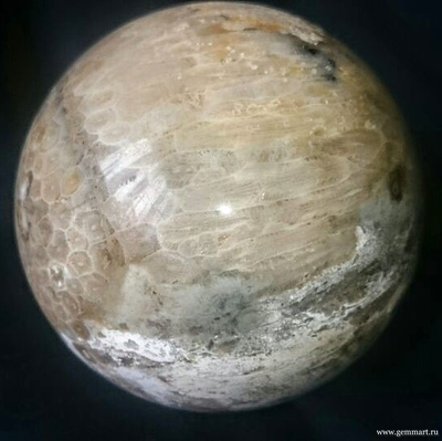 Коралл замещенный кварцем, шар. Около 100мм.