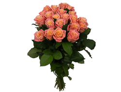 персиковая роза 15 шт