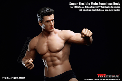Супер-подвижное бесшовное тело 1/12 scale Super Flexible Male Seamless Body PH2019-TM01A TBLeague