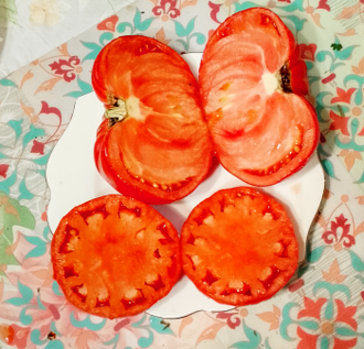 Семена томата Мега Марв