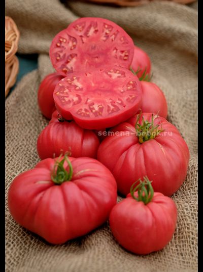 Томат Чалма Агры, 10 шт