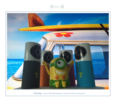 Видеоняня /WiFi видеокамера CleverDog с DVR