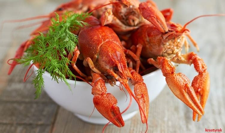 Вкусные вареные раки в белой тарелке