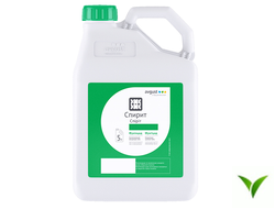 Спирит СК 5 л