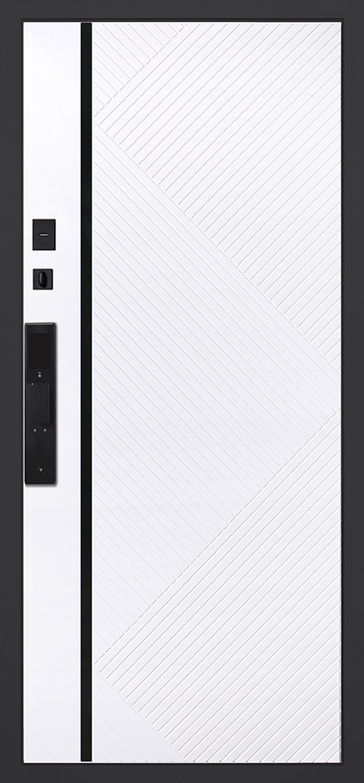 Стальная дверь   Гавана (биометрический замок). Заказная модель.