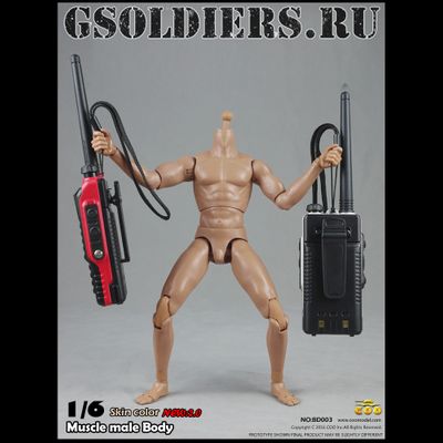 Тело мускулистое с шеей 1/6 - NEW:2.0 Body NO: BD003 - COOMODEL