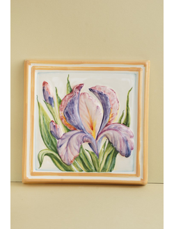 Ирисы