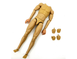 Тело без шеи 1/6 - (AL100034) - Alertline