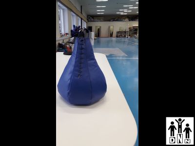 Груша боксерская искусственная кожа/тент (ГБИ-1) 5кг DNN