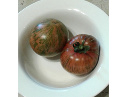 Семена томата Всплеск мокко