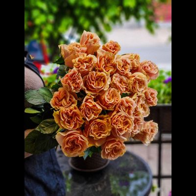 Роза Эквадор 70 см 25 шт