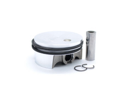 porshen-43mm-fs-130-310