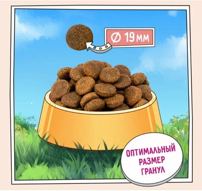 ZILLII Adult Large Breed Корм сухой для взрослых собак крупных пород Индейка с Ягненком 15 кг