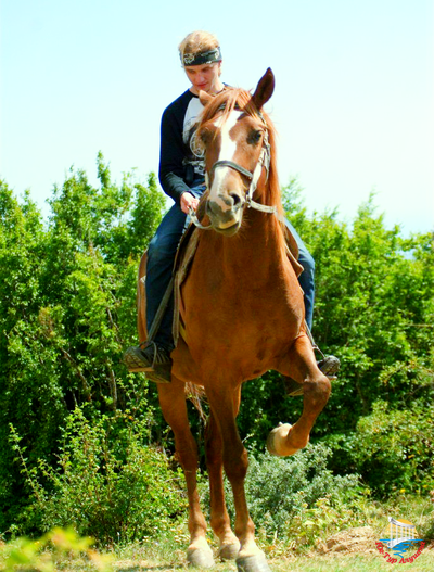 Конные прогулки в Долину привидений