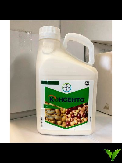 Консенто КС 5 л