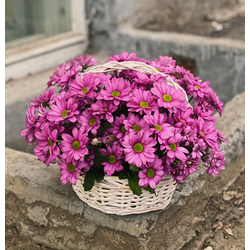 Корзина из сиреневой хризантемы