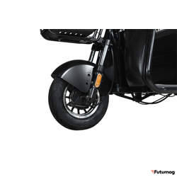 Пассажирский трицикл WHITE SIBERIA SIBTRIKE R 2000W