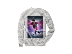 Свитшот Лионель Месси, Lionel Mess №27