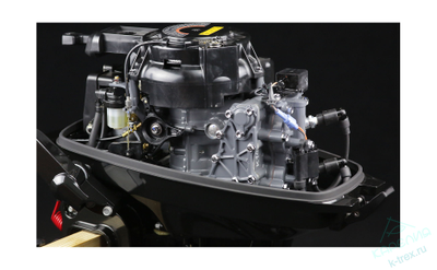 Лодочный мотор Suzuki DT9.9AS