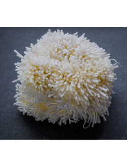 Тычинки Сахарные около 140 нитей , цвет молочно- бежевый