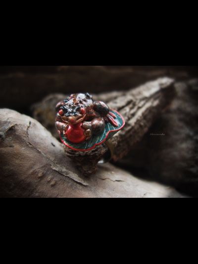 Фэнтезийное кольцо с опалом "Принц-лягушка Восточного Королевства"