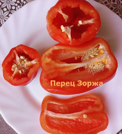 Перец сладкий Зоржа
