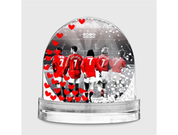 Водяной шар Манчестер Юнайтед, Manchester United FC №5