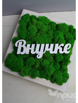 Живая Эко-Картина "Внучке" 1084