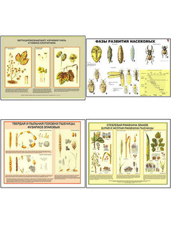 Плакаты ПРОФТЕХ "Вредители и болезни с/х культур и меры борьбы с ними" (11 пл, винил, 70х100)