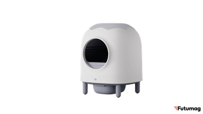 Auto cat litter online