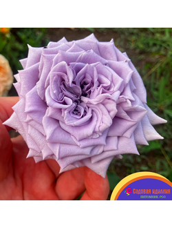 Шато Мертию (Chateau Myrtille)