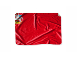 Плед Московская Область