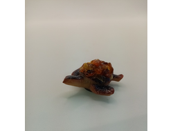 Сувенир - магнит черепаха