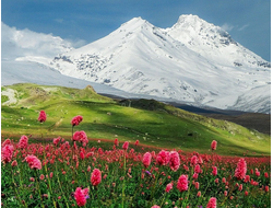 КМВ: Эльбрус + Домбай "В страну заснеженных гор..."