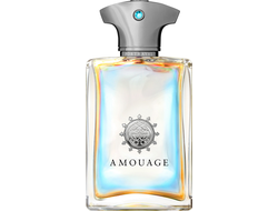 Аромат Amouage Portrayal Man