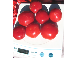 Перец острый Алма паприка (Яблочный перец, Alma Paprika)