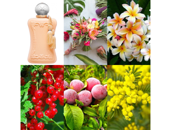 Parfums de Marly Cassili