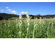 Цветочный воск Тубероза (Polianthes tuberosa) 10г