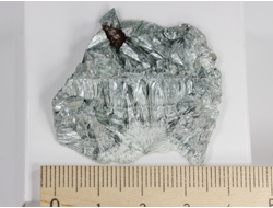 Клинохлор (серафинит), срез полированный с одной стороны, Россия, Иркутская область (45*45*6 мм, 7,8 г) №28401