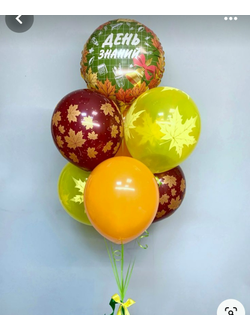 День знаний № 7