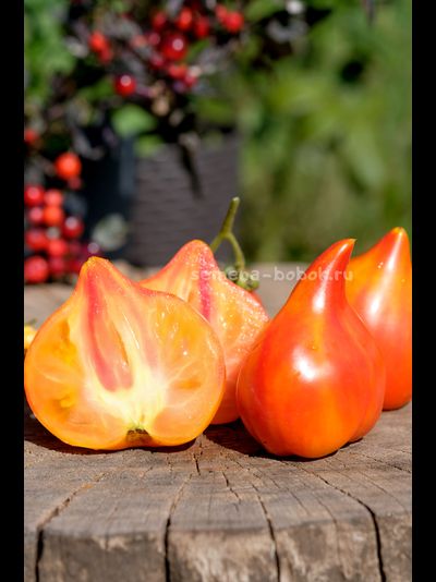 Томат Волшебные Шляпки тётушки Гретель